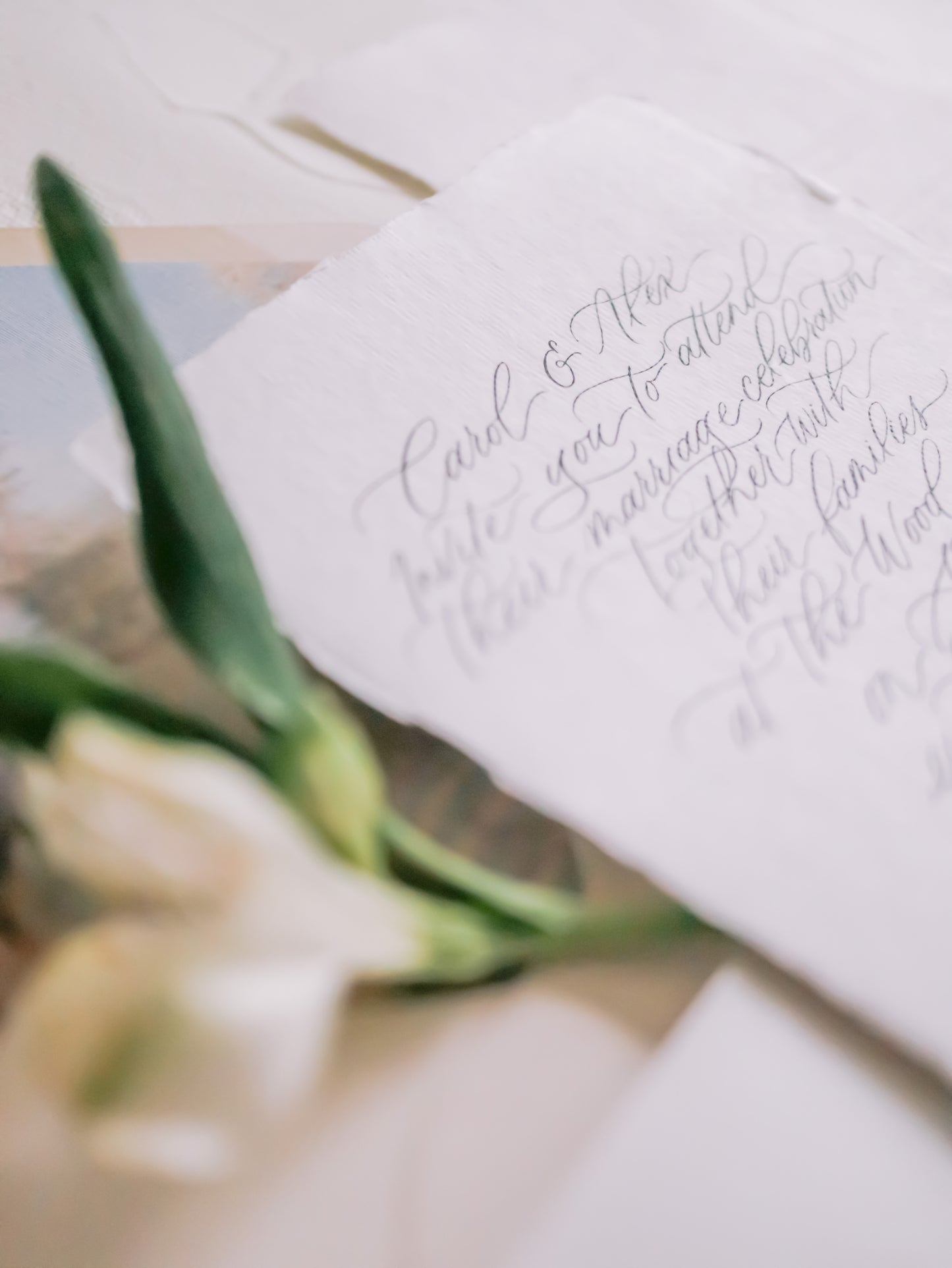 CALLIE | CALLIGRAPHY WEDDING INVITATION